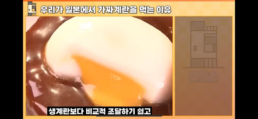 와 일본가면 계란 다르다 날계란 다르다 하더니 가짜여서 그랫노 ; | 인스티즈