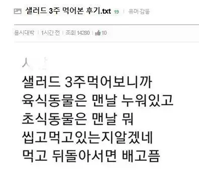샐러드 3주간 먹은 후기..jpg | 인스티즈
