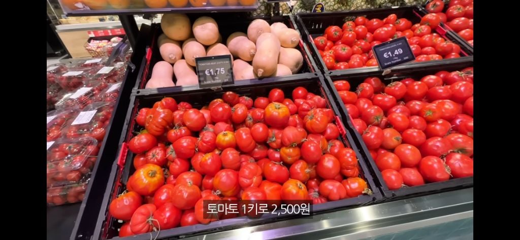 몰타로 어학연수 떠난 유튜버 수빙수 | 인스티즈