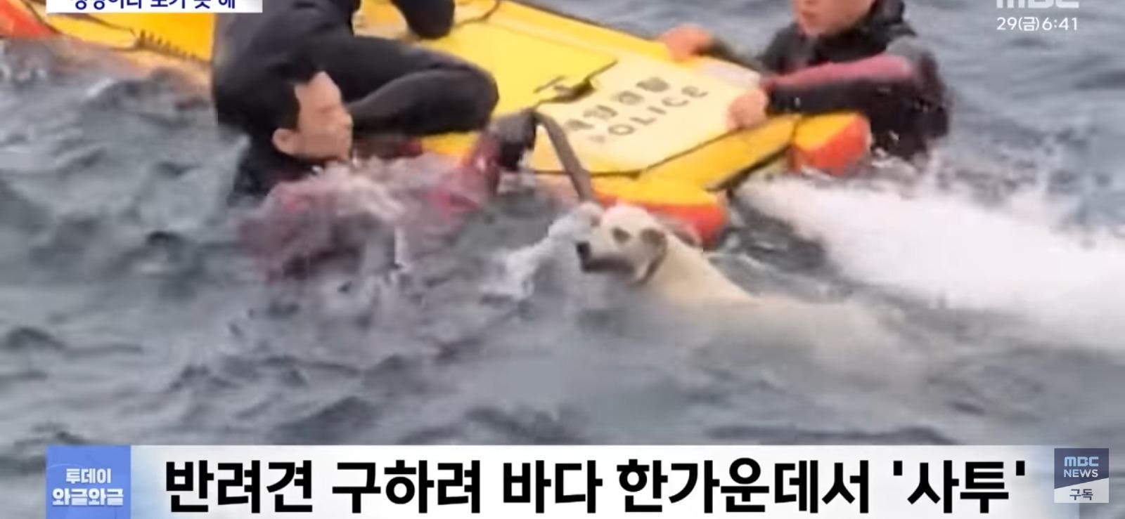 제주 바다에서...필사의 구조 | 인스티즈