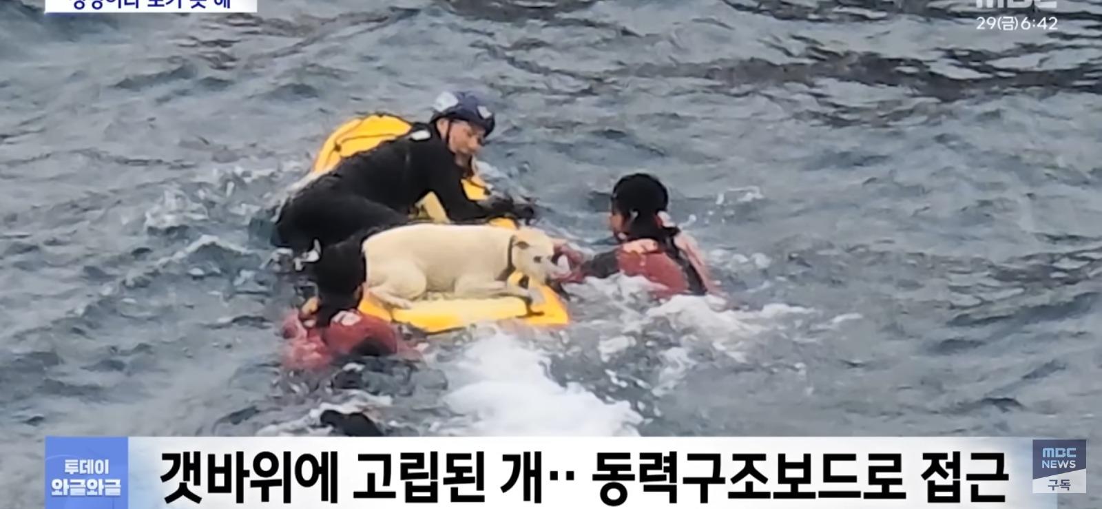 제주 바다에서...필사의 구조 | 인스티즈