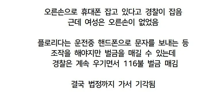 미국에서 난리난 운전중 핸드폰 사용으로 잡힌 여성 | 인스티즈