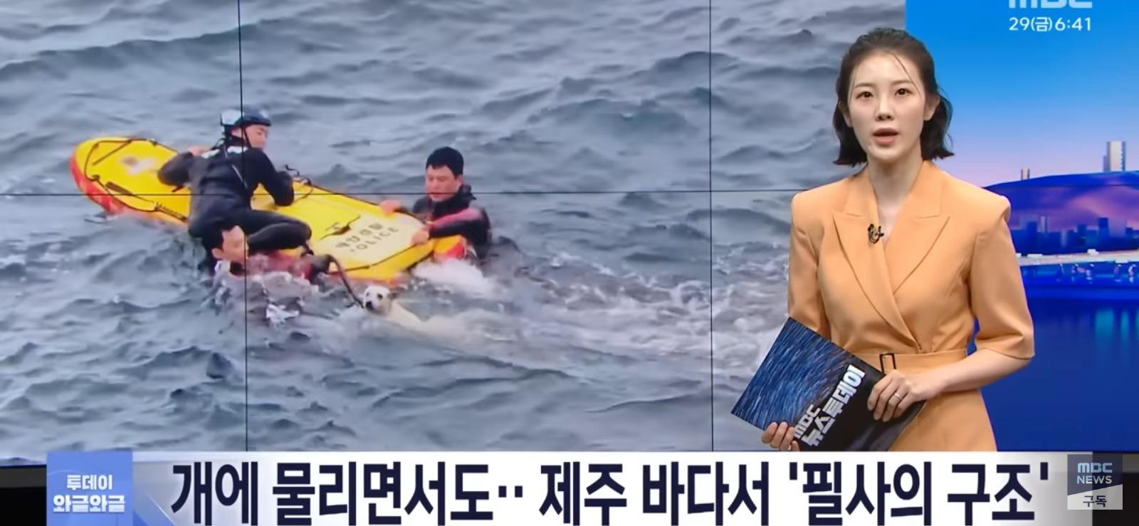 제주 바다에서...필사의 구조 | 인스티즈
