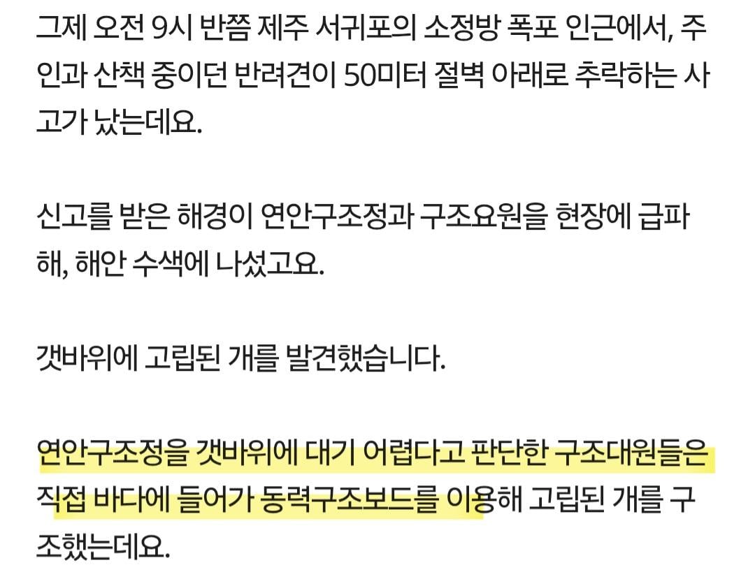 제주 바다에서...필사의 구조 | 인스티즈