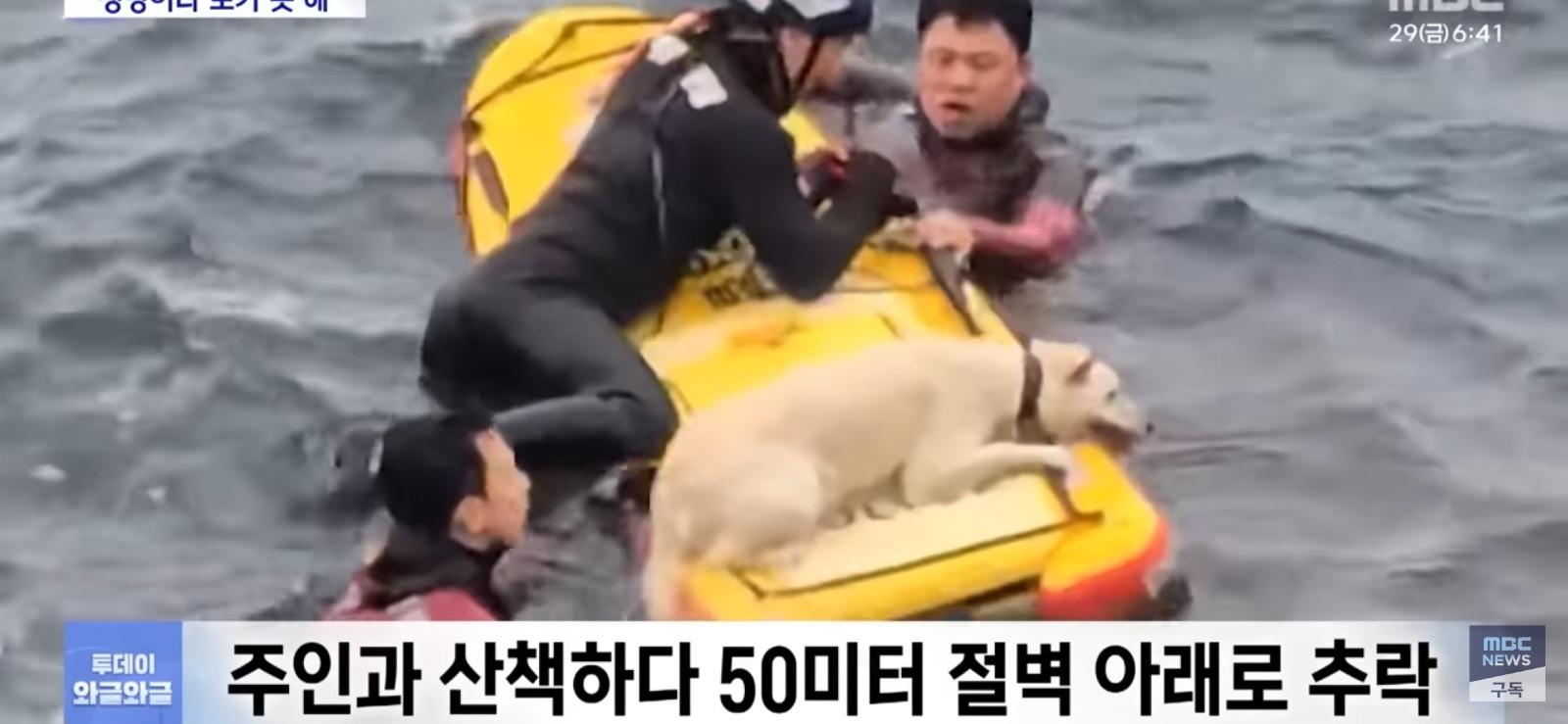 제주 바다에서...필사의 구조 | 인스티즈