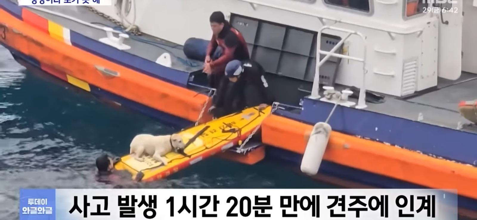 제주 바다에서...필사의 구조 | 인스티즈