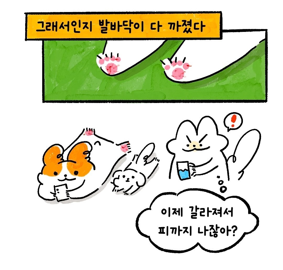 [냥뇽툰] 풋크림 바르는 만화 | 인스티즈