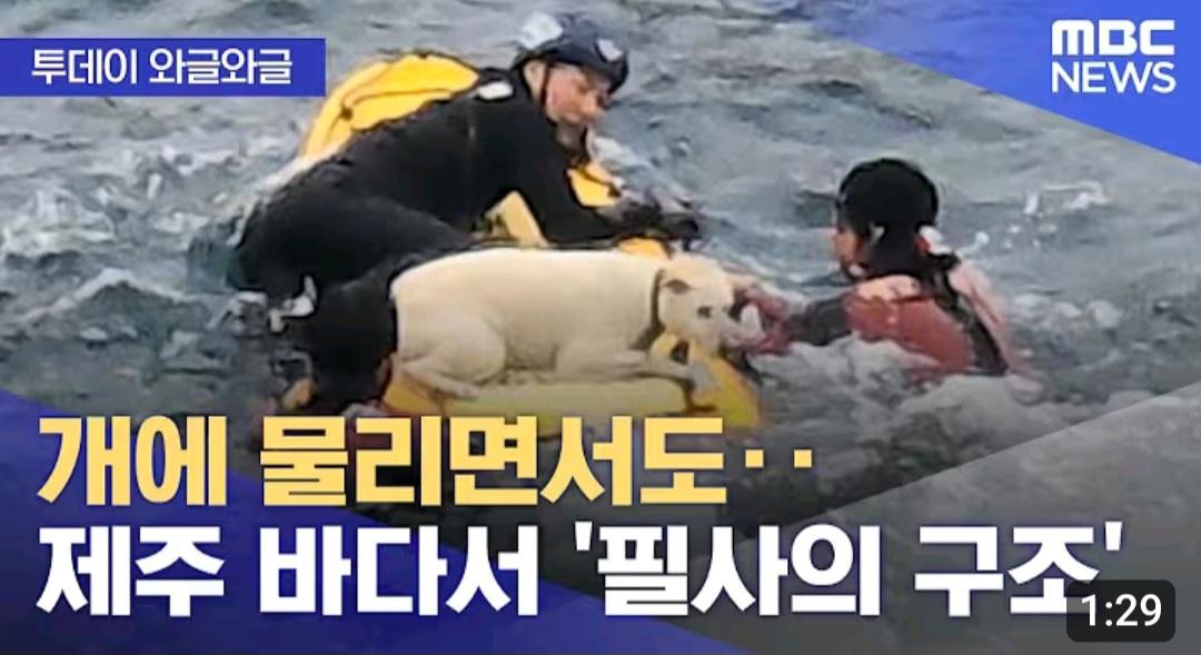 제주 바다에서...필사의 구조 | 인스티즈