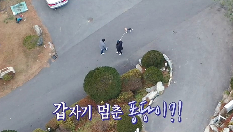 배우 이초희가 유기견을 임시보호하고 보내는 과정 | 인스티즈