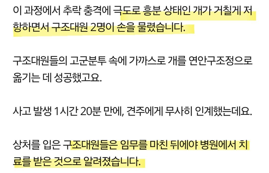 제주 바다에서...필사의 구조 | 인스티즈