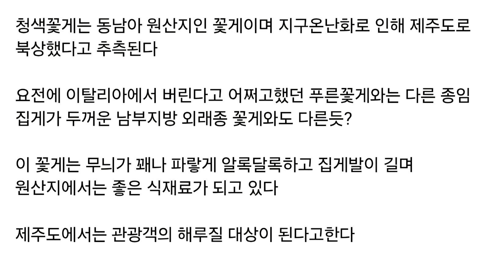 최근 제주도에 나타났다는 외래종 | 인스티즈
