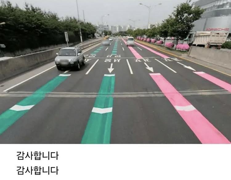 금지된 상황에서 도로에 색칠한 사람 | 인스티즈
