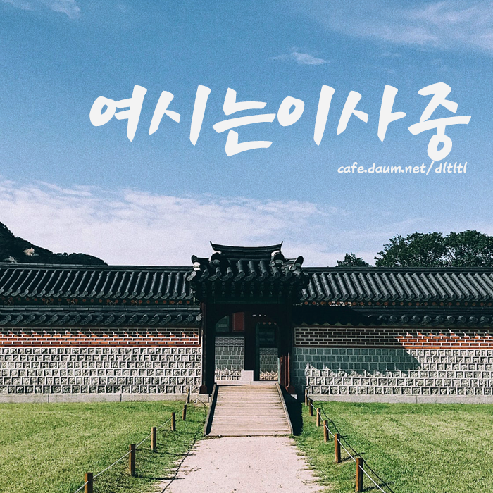 배우 이초희가 유기견을 임시보호하고 보내는 과정 | 인스티즈