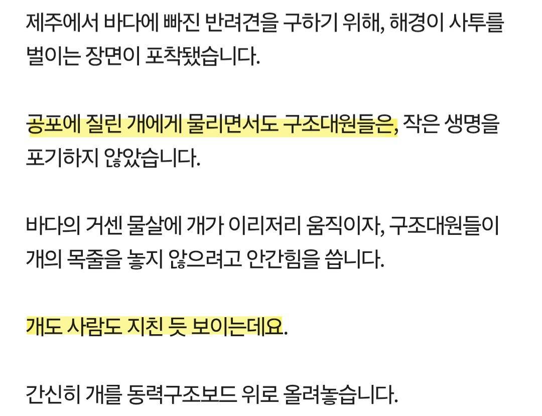 제주 바다에서...필사의 구조 | 인스티즈