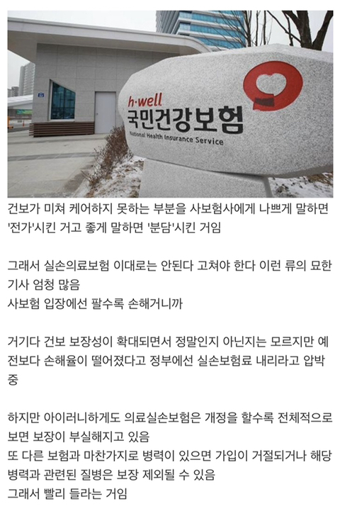 실비보험 꼭 들어야 하는 이유 | 인스티즈
