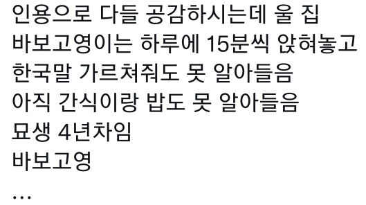 고양이는 사람 말을 알아듣는 거 같아 | 인스티즈