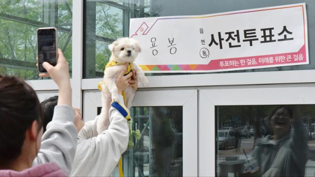 투표소 강아지 "더 줘" | 인스티즈