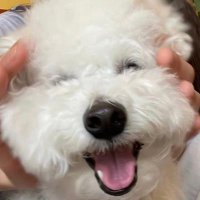 포레스텔라의 연습량을 알수있는 일화들 | 인스티즈