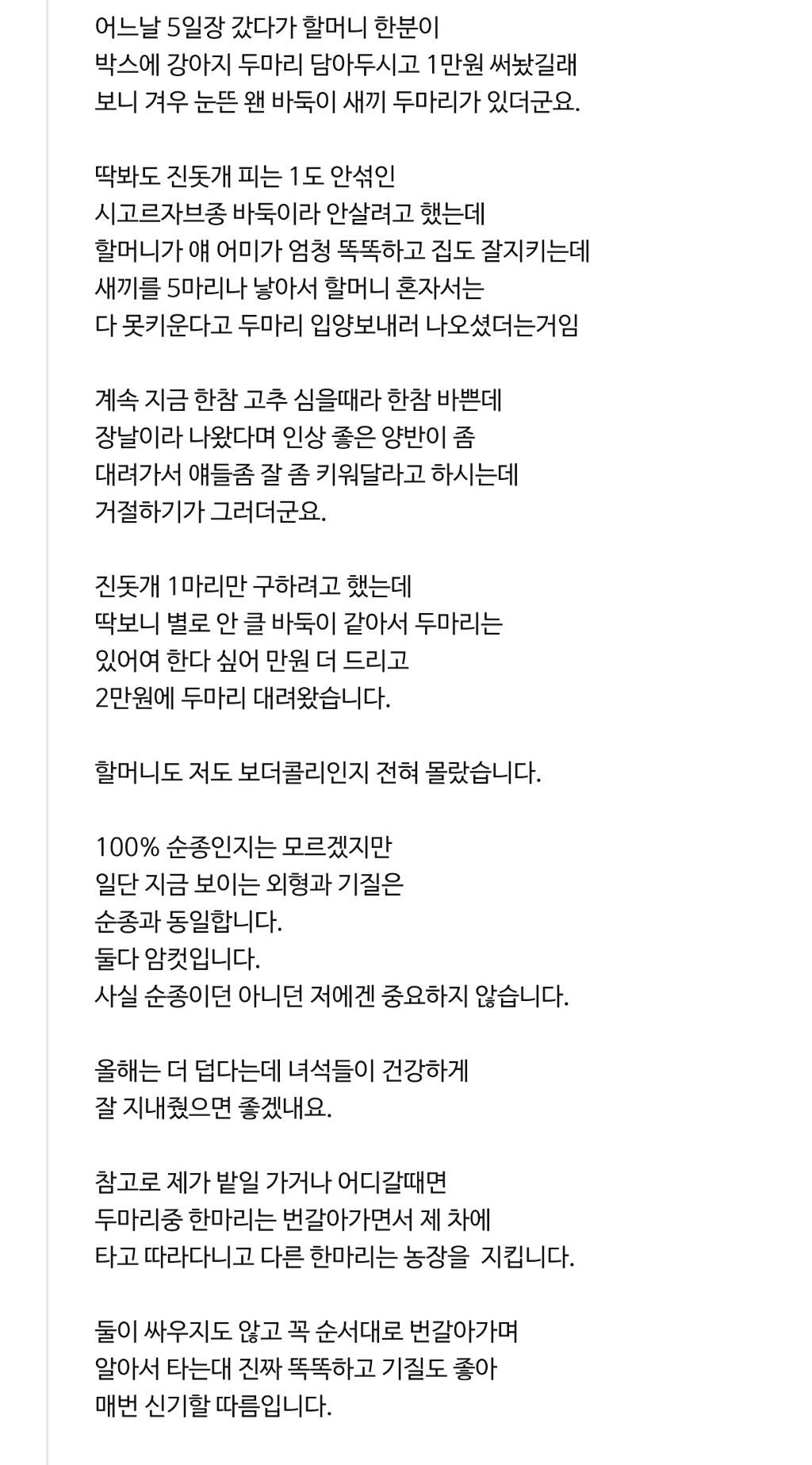 자기 보더콜리를 얼마나 사랑하는지 감도 안옴;;; | 인스티즈