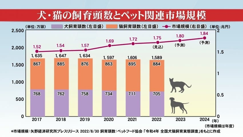 일본인들이 개보다 고양이를 더 많이 키우는 이유 | 인스티즈