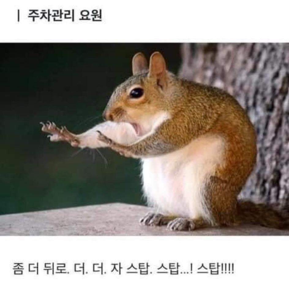 제목 학원 행복해지는 동물들 짤 | 인스티즈