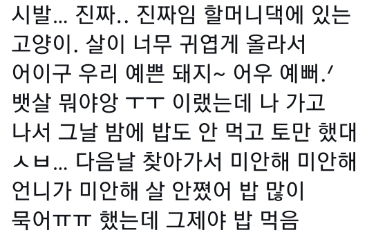 고양이는 사람 말을 알아듣는 거 같아 | 인스티즈