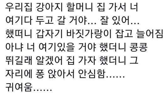 고양이는 사람 말을 알아듣는 거 같아 | 인스티즈