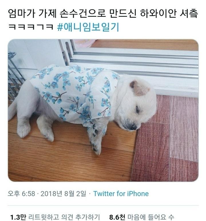 제목 학원 행복해지는 동물들 짤 | 인스티즈