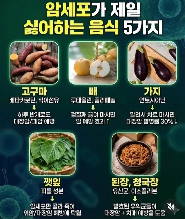 암세포가 제일 싫어하는 음식 5가지 | 인스티즈