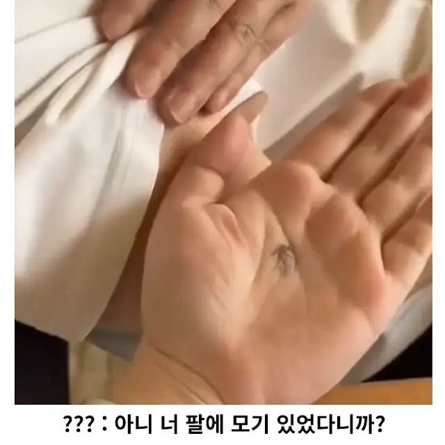 맘에 안 드는 사람 합법적으로 때리는 법 | 인스티즈