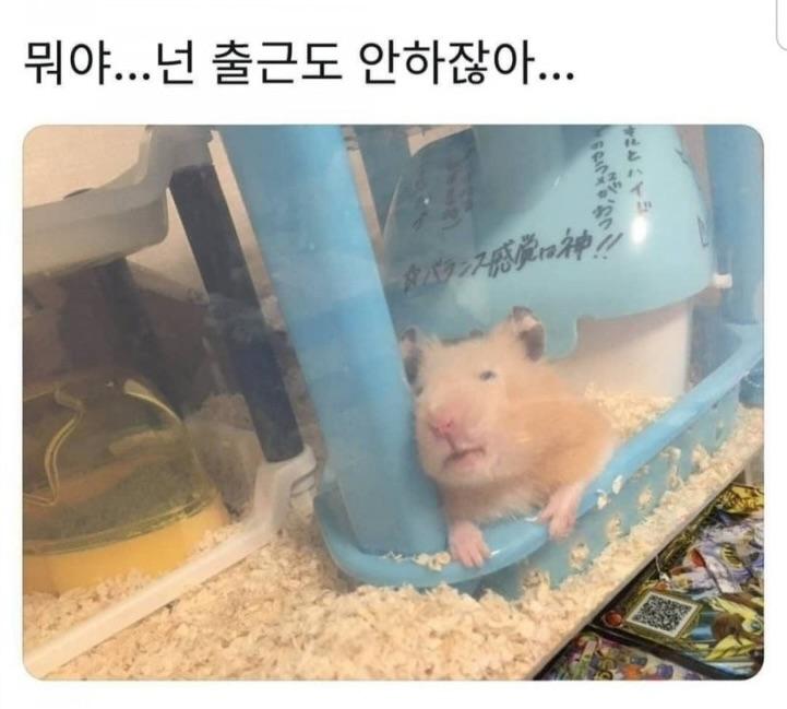 제목 학원 행복해지는 동물들 짤 | 인스티즈