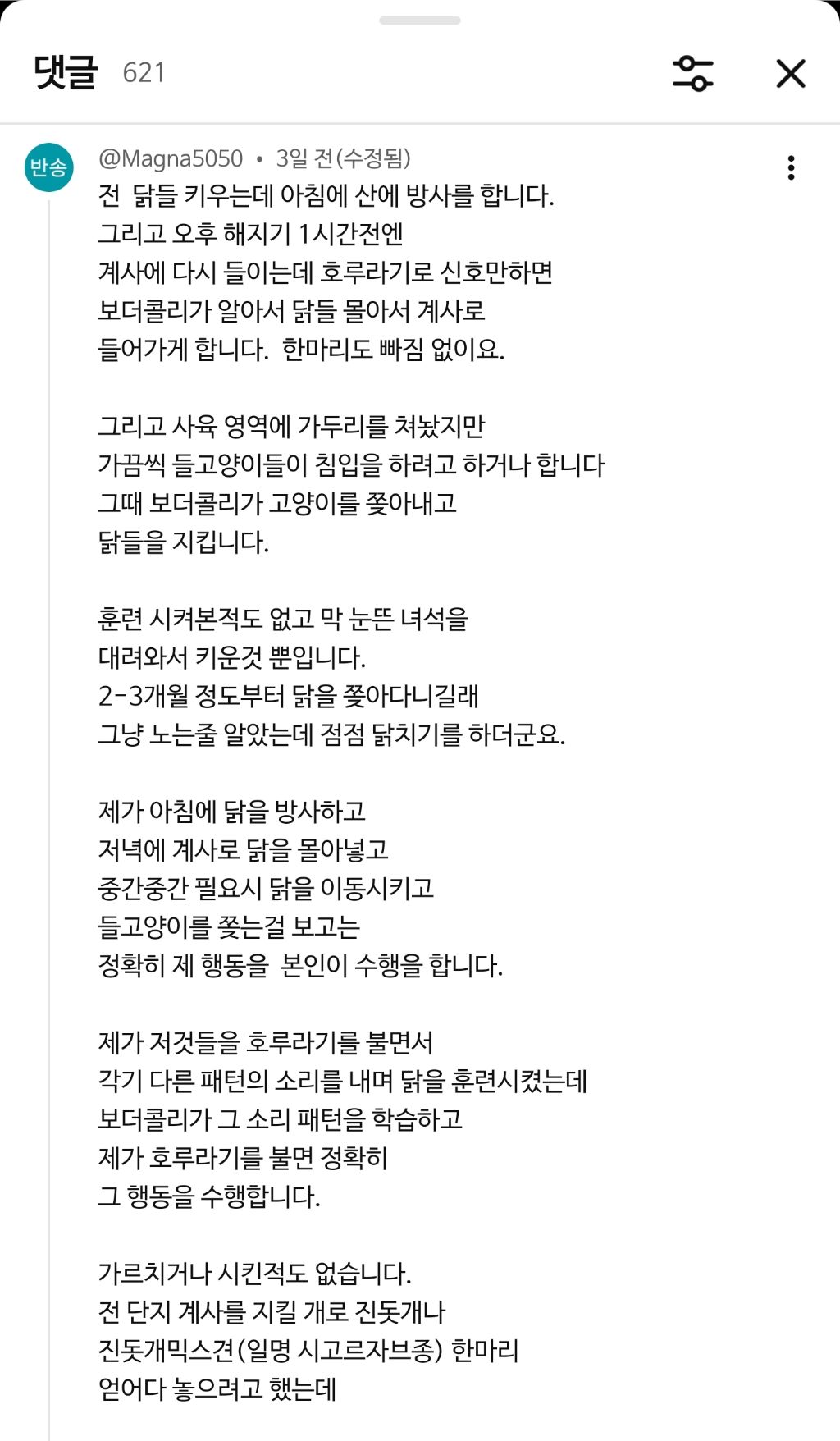 자기 보더콜리를 얼마나 사랑하는지 감도 안옴;;; | 인스티즈