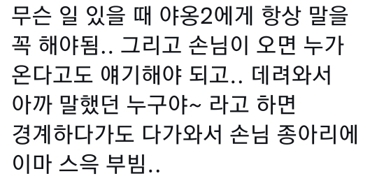 고양이는 사람 말을 알아듣는 거 같아 | 인스티즈