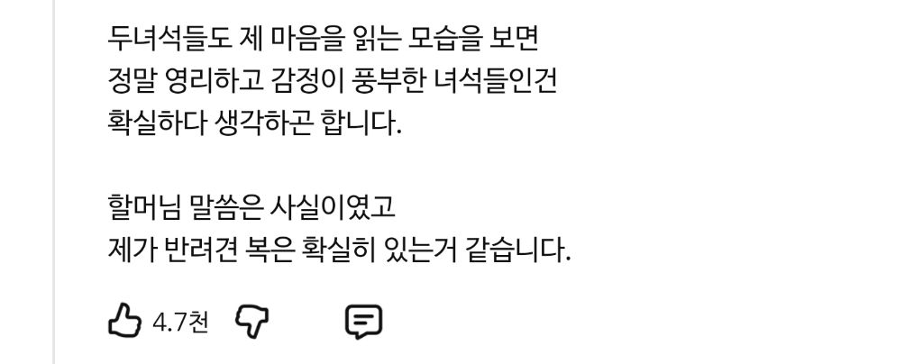 자기 보더콜리를 얼마나 사랑하는지 감도 안옴;;; | 인스티즈