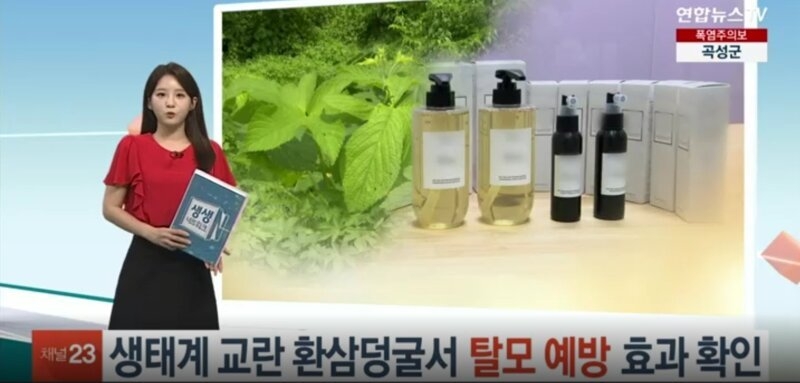 생태계 교란종의 재발견 | 인스티즈