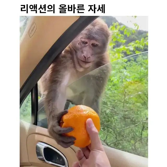 리액션의 올바른 자세 | 인스티즈