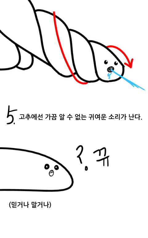 여자는 잘 모르는 남자의 비밀(고추편) | 인스티즈