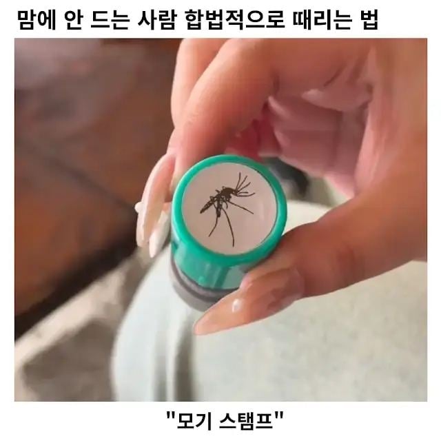 맘에 안 드는 사람 합법적으로 때리는 법 | 인스티즈