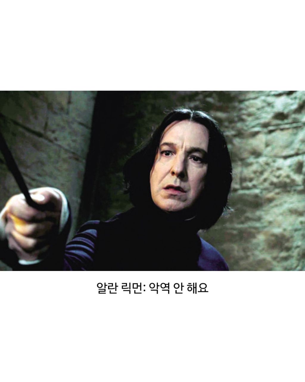 가족들에게 협박받고 출연했다는 해리포터 성인배우들 | 인스티즈