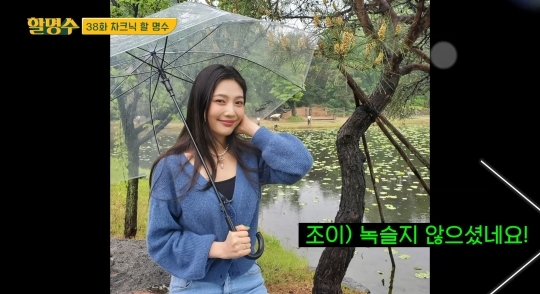 박명수가 찍은 조이 사진 최신ver | 인스티즈