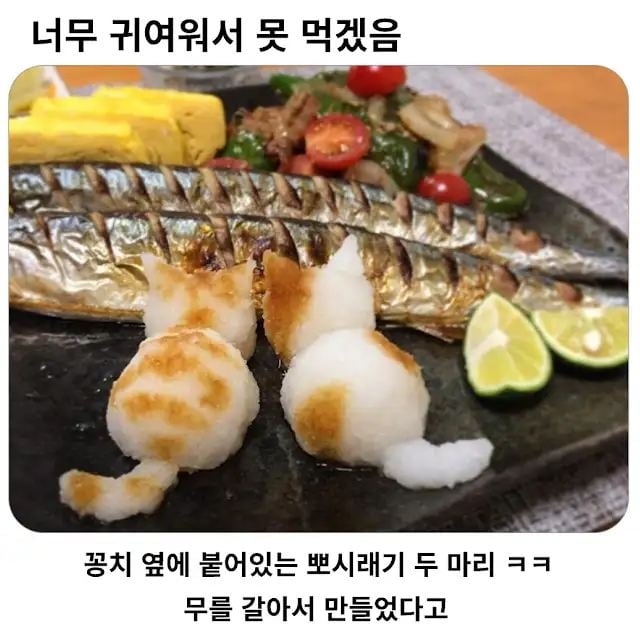 너무 귀여워서 못 먹겠음 | 인스티즈