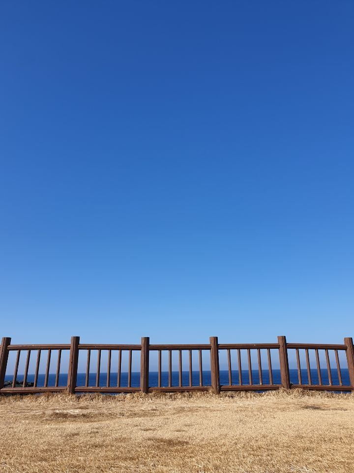 반년동안 제주도에 300만원 쓴 대학생의 제주 여행지 추천 | 인스티즈