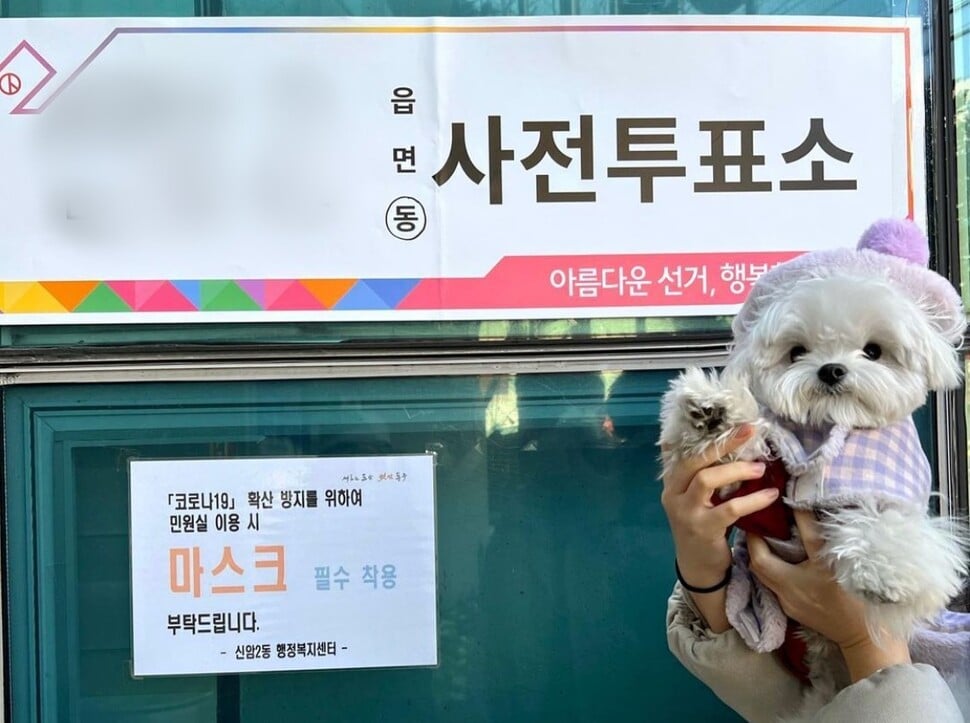 투표소 강아지 "더 줘" | 인스티즈
