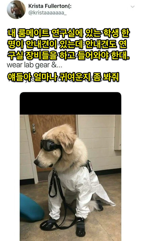 어느 연구실의 시각장애인 안내견 출입 규정.jpg | 인스티즈