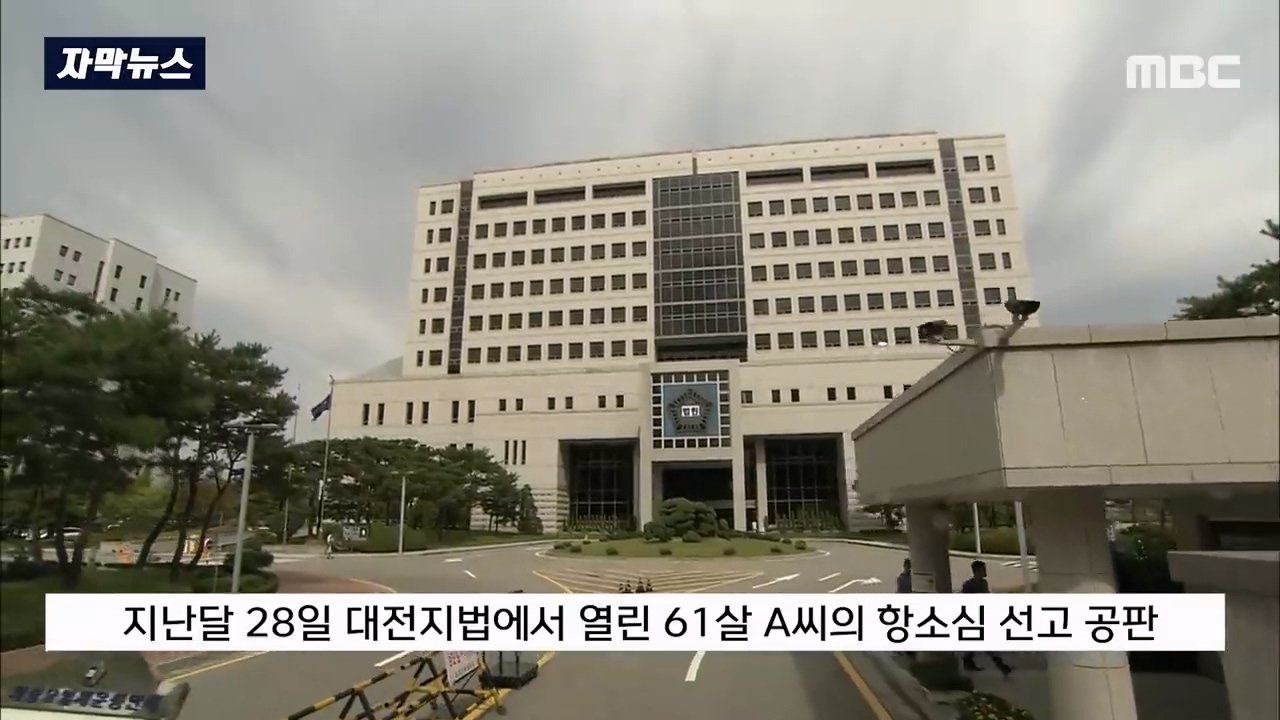 음주단속 걸린 것만 '7번'인데.. "마지막 기회" 선처한 판사 | 인스티즈