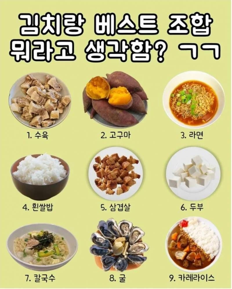 김치랑 베스트 조합은? | 인스티즈