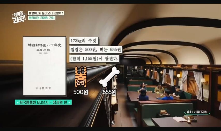 일제강점기 당시 한국 야생 호랑이의 가치 | 인스티즈
