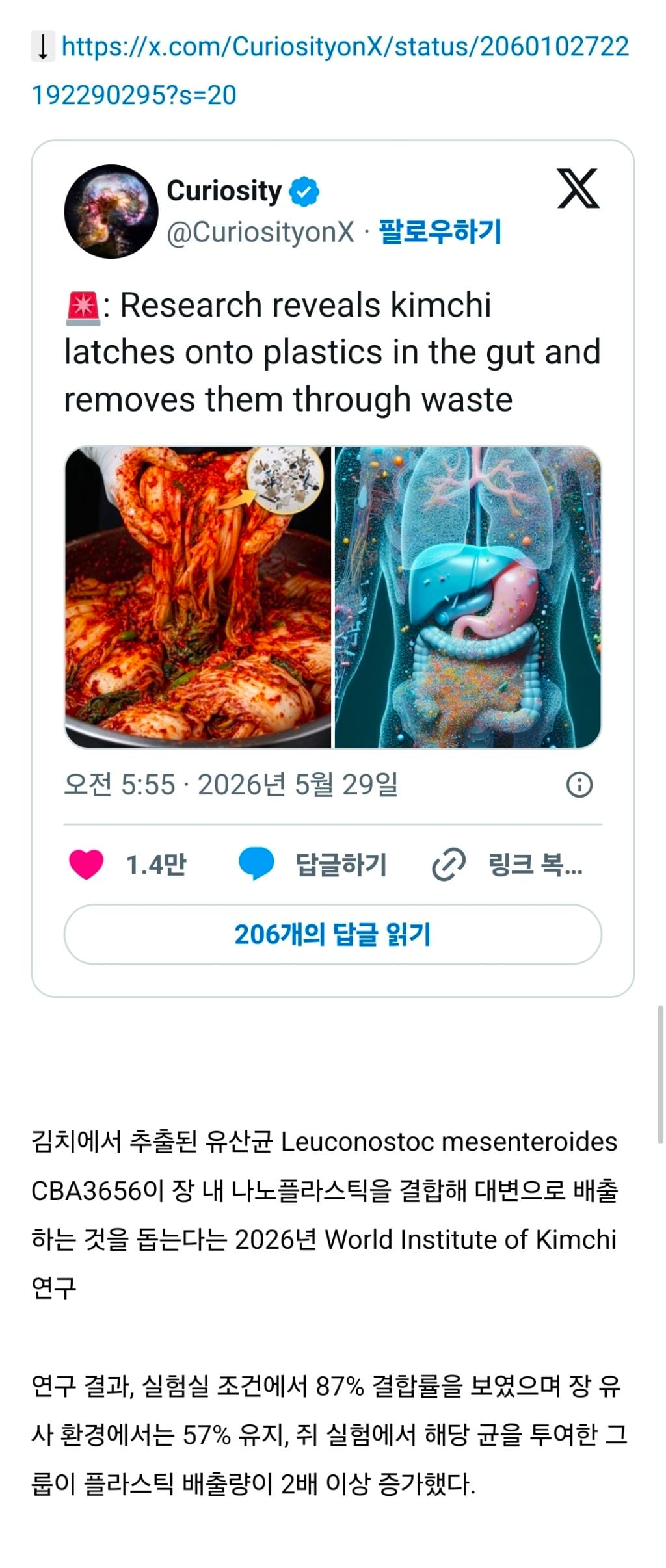 김치 유산균이 장 속 미세 플라스틱에 결합해 배설물을 통해 이를 배출시킨다는 사실이 밝혀짐 | 인스티즈