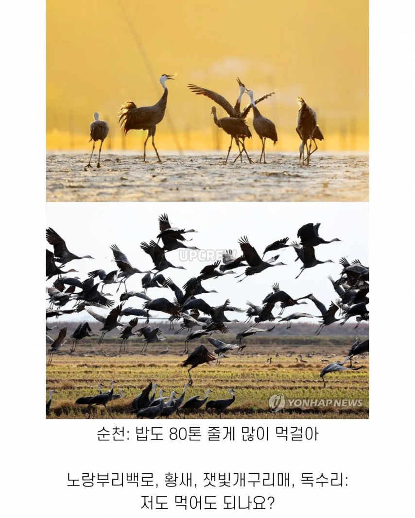좋은 일 많이 해서 축복 받은 한국 도시 | 인스티즈