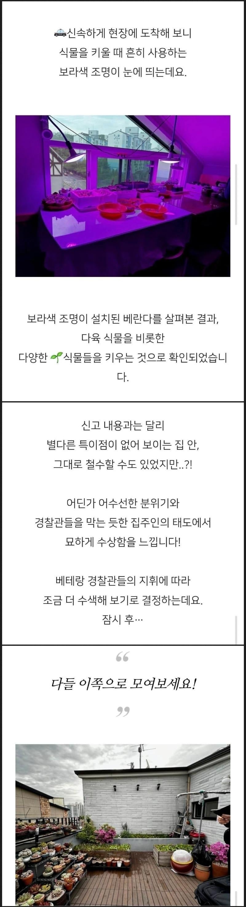 보라색 조명을 쓴다고 경찰에 신고 당한 집 | 인스티즈